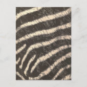 Zebra Stripes Briefkaart (Voorkant)