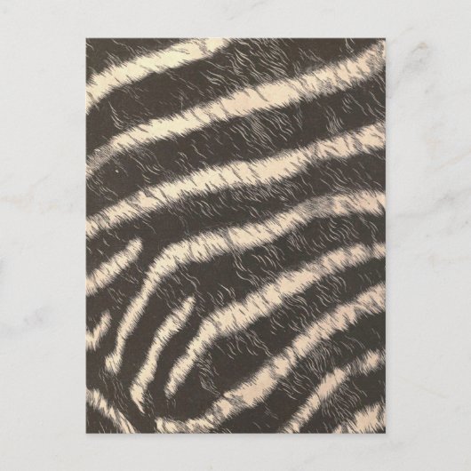 Zebra Stripes Briefkaart (Voorkant)