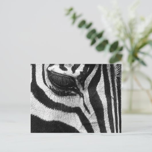 Zebra Stripes Briefkaart (Staand voorkant)
