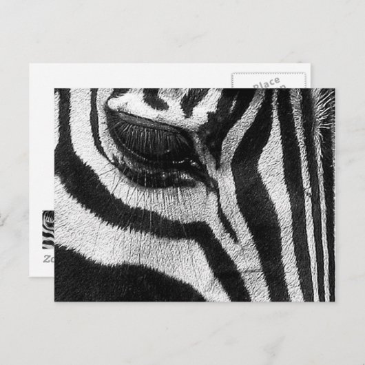 Zebra Stripes Briefkaart (Voorkant / Achterkant)