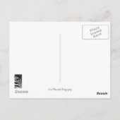 Zebra Stripes Briefkaart (Achterkant)