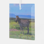 ZEBRA STRIPES GLAS ORNAMENT (Voorkant links)