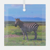 ZEBRA STRIPES GLAS ORNAMENT (Voorkant)