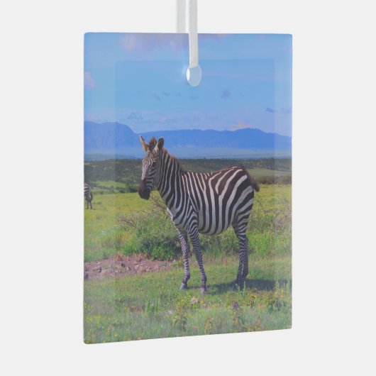 ZEBRA STRIPES GLAS ORNAMENT (Voorkant Rechts)