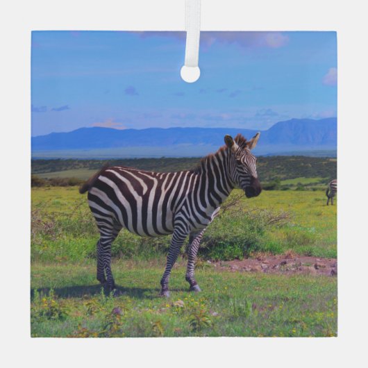 ZEBRA STRIPES GLAS ORNAMENT (Achterkant)