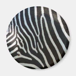 Zebra Stripes Magneet