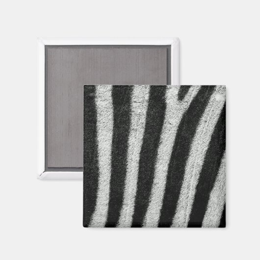 Zebra Stripes Magnet (Voorkant / Achterkant)