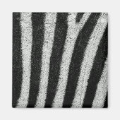 Zebra Stripes Magnet (Voorkant)