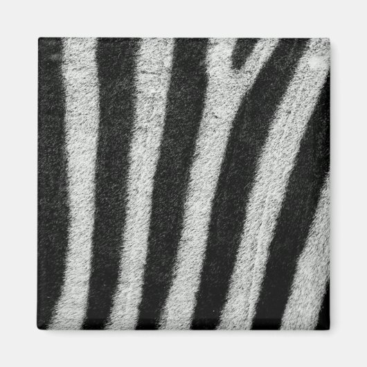 Zebra Stripes Magnet (Voorkant)