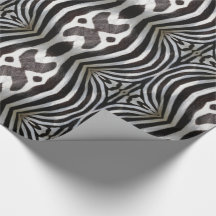 Zebra Stripes Pattern Black and White Willife