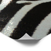 Zebra Stripes Poster (Hoek)