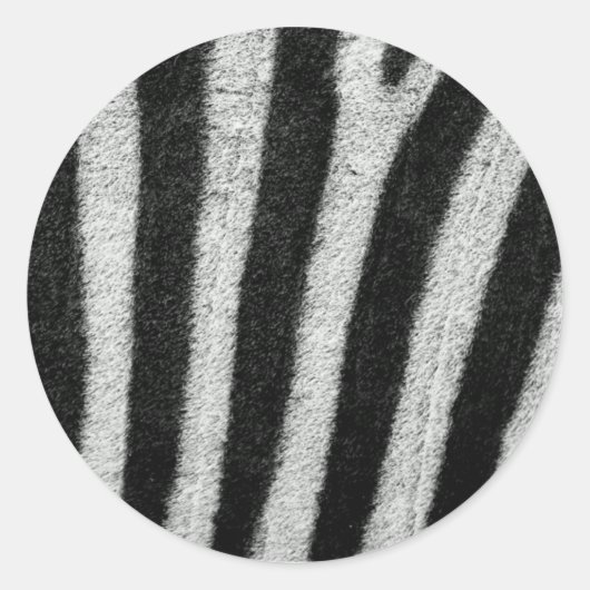 Zebra Stripes Stickers (Voorkant)