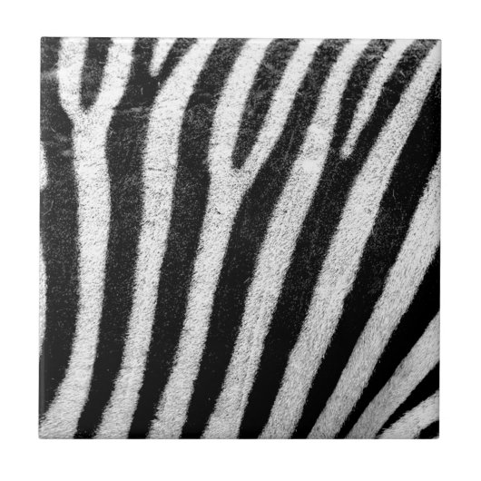 zebra Stripes Tegeltje (Voorkant)