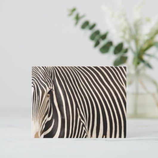 Zebra strips briefkaart (Staand voorkant)