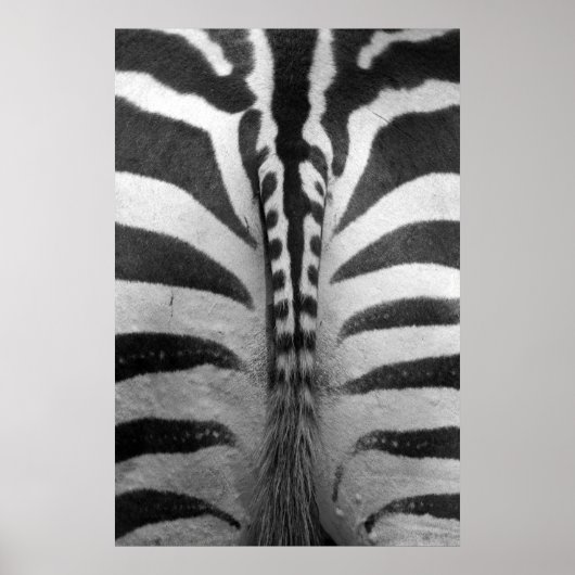 Zebra Strips Poster (Voorkant)