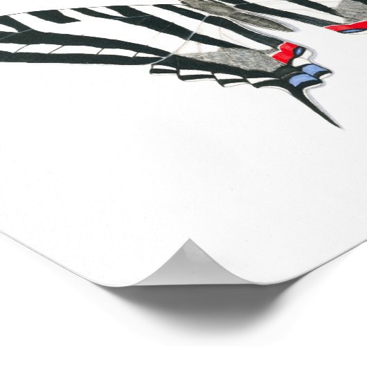 Zebra Swallowtail Butterfly Fine Art Print (Hoek)