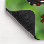 Zebra Swallowtail Butterfly Mousepad Muismat (Hoek)