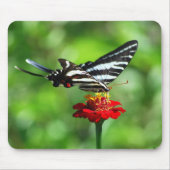 Zebra Swallowtail Butterfly Mousepad Muismat (Voorkant)