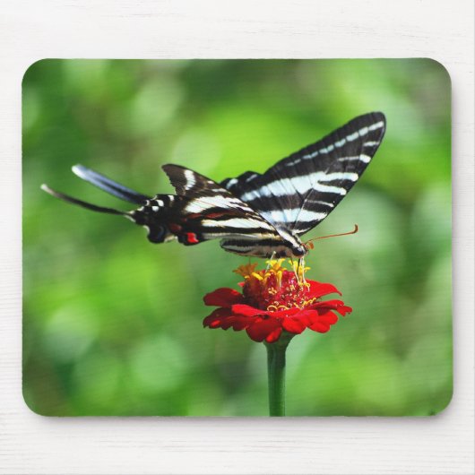 Zebra Swallowtail Butterfly Mousepad Muismat (Voorkant)