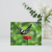 Zebra Swallowtail Butterfly op Red Zinnia Briefkaa Briefkaart (Staand voorkant)