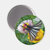 Zebra Swallowtail+Japanse eetstang Magneet (Voorkant / Achterkant)