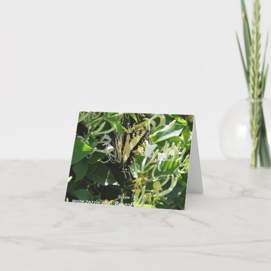 Zebra Swallowtail op kamperfoelie Kaart (Achterkant)
