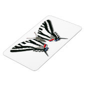 Zebra Swallowtail Vlinder Flexi Magnet Magneet (Linkerzijde)