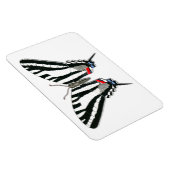 Zebra Swallowtail Vlinder Flexi Magnet Magneet (Rechterzijde)
