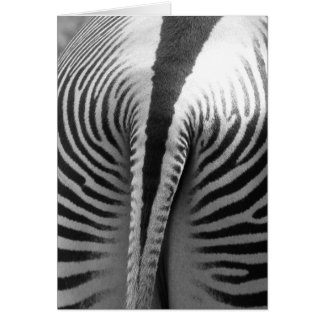 Zebra Tail
