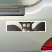 Zebra Tail Bumpersticker (Op auto)