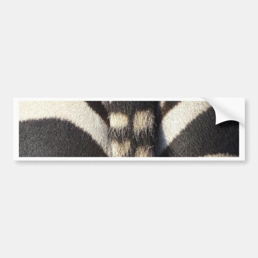 Zebra Tail Bumpersticker (Voorkant)