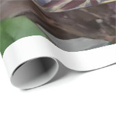 Zebra tail butterfly cadeaupapier (Rol Hoek)