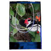 Zebra tail butterfly medium cadeauzakje (Voorkant)