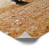 Zebra Tail Poster (Hoek)