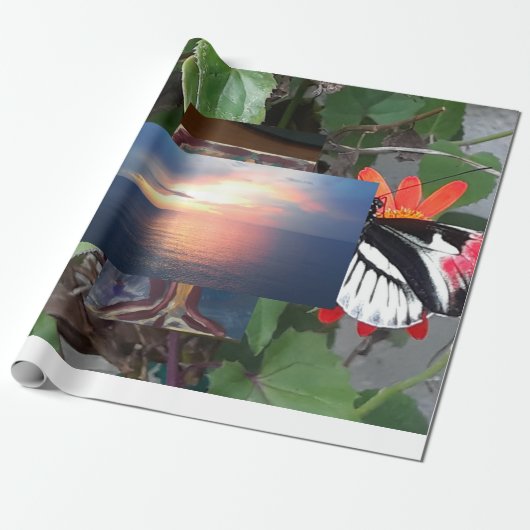 Zebra-tailvlinder Cadeaupapier (Uitgerold)