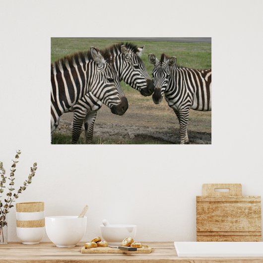 Zebra Talk - Afdrukken Poster (Keuken)