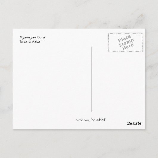 Zebra Talk - Briefkaart (Achterkant)