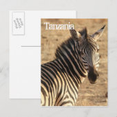 Zebra, Tanzania Briefkaart (Voorkant / Achterkant)