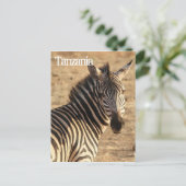 Zebra, Tanzania Briefkaart (Staand voorkant)