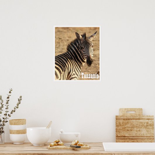 Zebra, Tanzania Poster (Keuken)