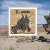 Zebra, Tanzaniaanse savanne Magneet