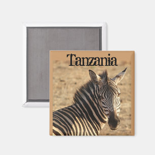 Zebra, Tanzaniaanse savanne Magneet