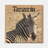 Zebra, Tanzaniaanse savanne Magneet (Voorkant)
