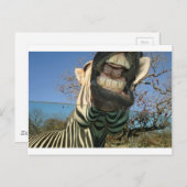 Zebra Teeth Briefkaart (Voorkant / Achterkant)