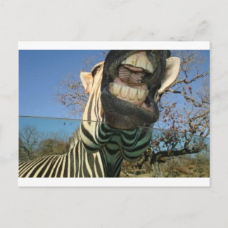 Zebra Teeth Briefkaart