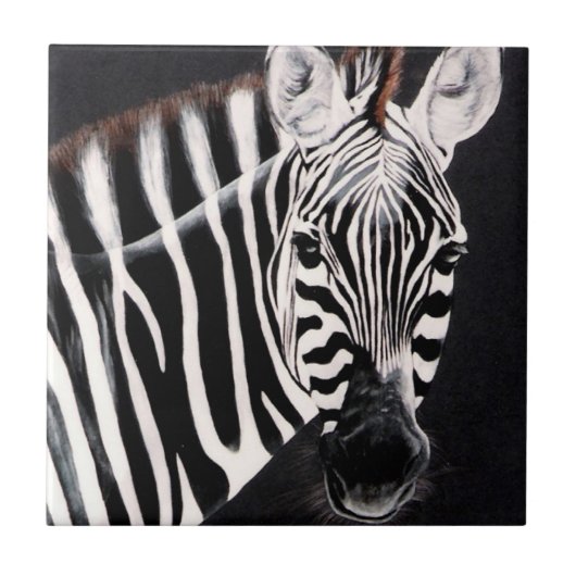 Zebra Tegeltje (Voorkant)