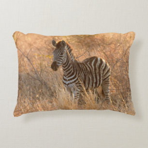Zebra tegen zonsopgang accent kussen