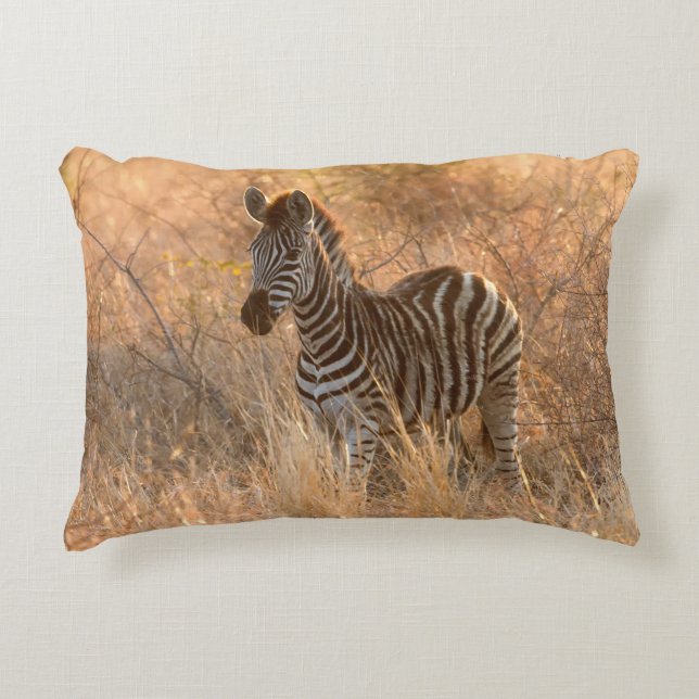 Zebra tegen zonsopgang accent kussen (Voorkant)