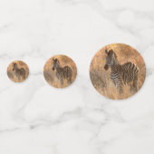 Zebra tegen zonsopgang confetti (Voorkanten)