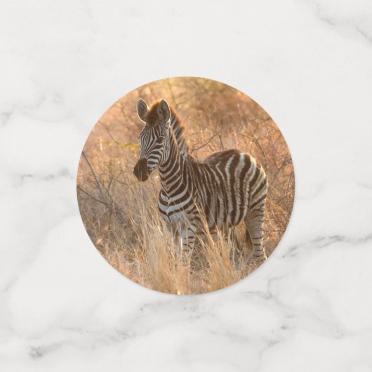 Zebra tegen zonsopgang confetti (Kleine voorkant)